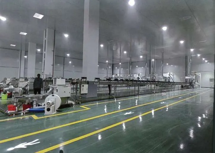 Production hall with automated lines