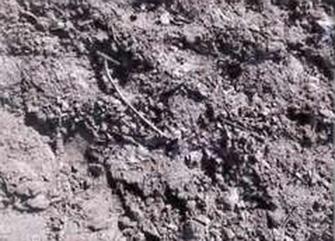 Field photo: soil with no visible film remaining